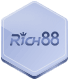 RICH88 Icon